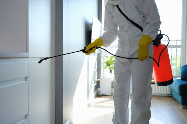 Best Affordable Mold Removal  in Taylorsville, KY