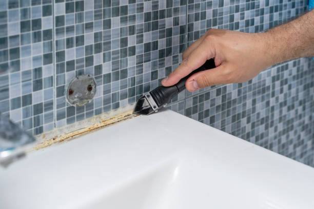 Best Local Mold Removal Service  in Taylorsville, KY