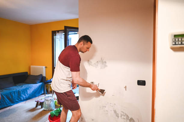 Best Residential Mold Removal  in Taylorsville, KY